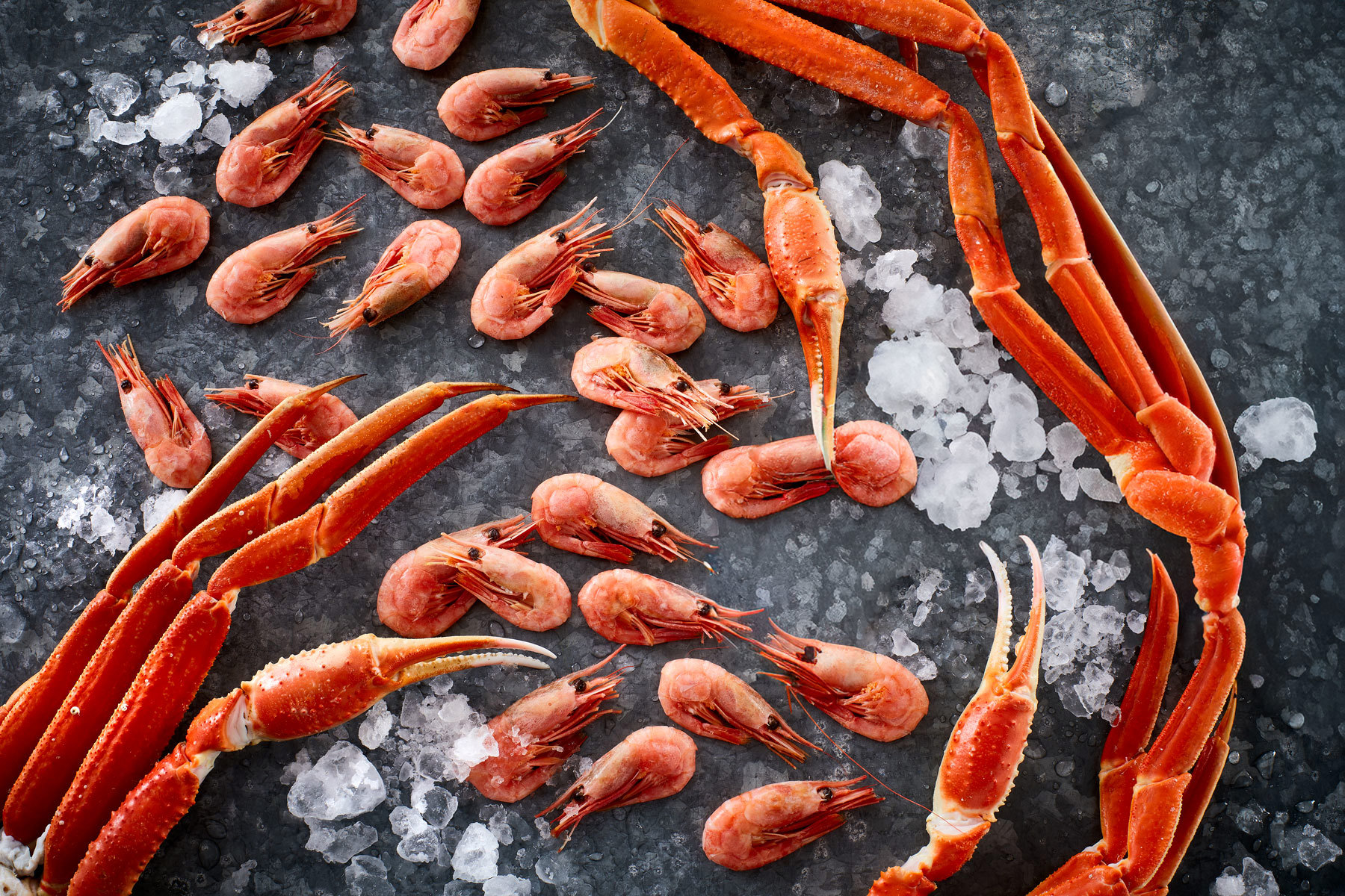 Shellfish | Premium Arctic Quality from Polar Seafood