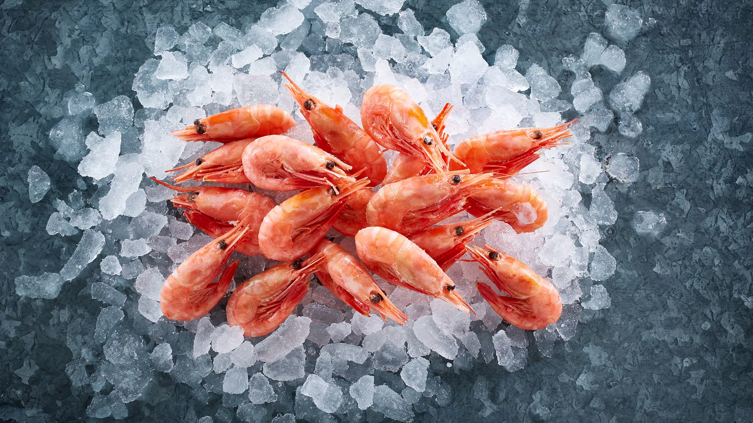 Shellfish | Premium Arctic Quality from Polar Seafood